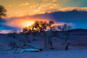 GER to GER GEOtourism Mongolia
