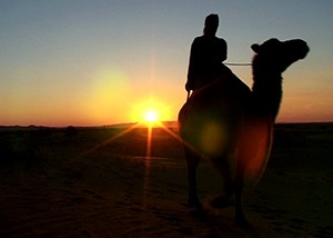 GER to GER GEOtourism Mongolia - Camel and Horseback Riding