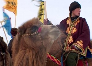 GERtoGER-GEOtourism-Mongolia-Camel-Festival