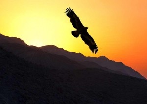 GER to GER GEOtourism Mongolia - Mongolia Eagle Festival