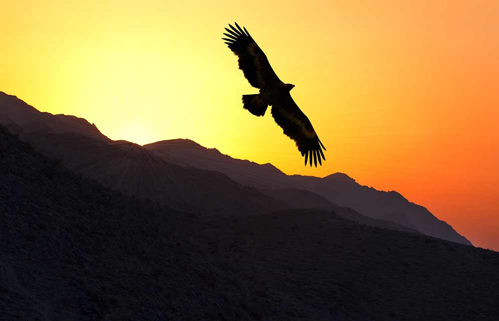 GER to GER GEOtourism Mongolia - Mongolia Eagle Festival