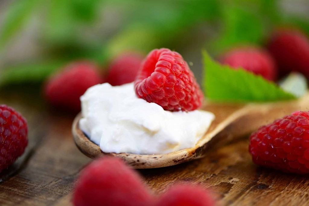 GER to GER GEOtourism Mongolia - Mongolian Foods - Urum and Berries